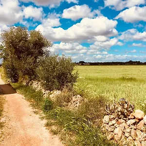  Ferienhaus Arthouse Mit Haus Galeria 110qm Und Appartementhaus Mit Patio 30qm Spanien